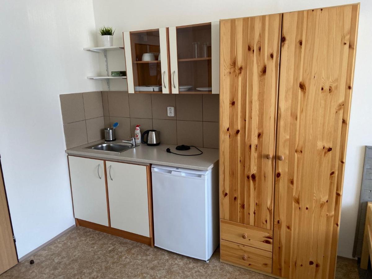 Apartmany Premyslova Hradec Králové Extérieur photo